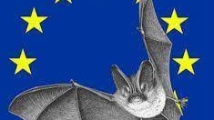 Nuit Internationale de la chauve souris